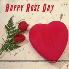 Rose Day
