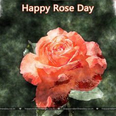 Rose Day – happy valentines day pictures download