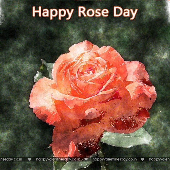 Rose Day – happy valentines day pictures download