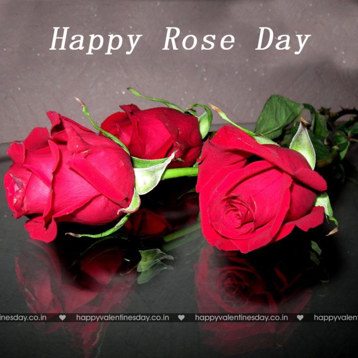 Rose Day