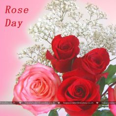Rose Day