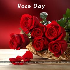 Rose Day