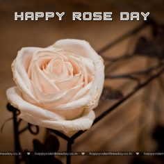 Rose Day – happy valentines day my love