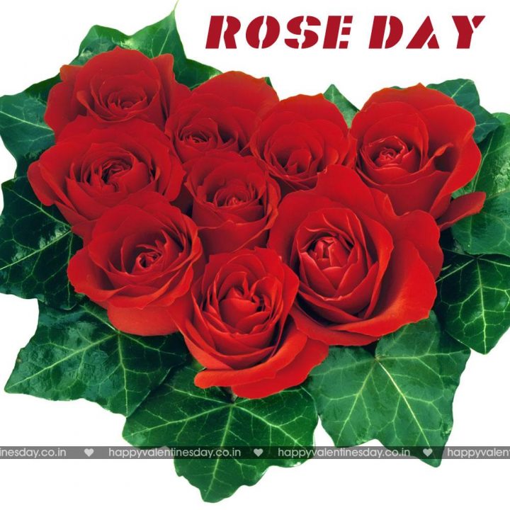 Rose Day