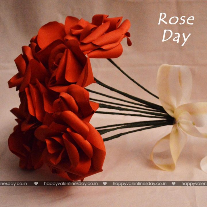 Rose Day