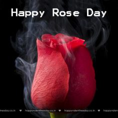 Rose Day – best valentine quotes