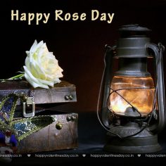 Rose Day – happy valentines day quotes friends