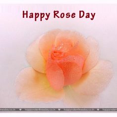 Rose Day – happy valentines day anime