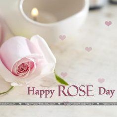 Rose Day