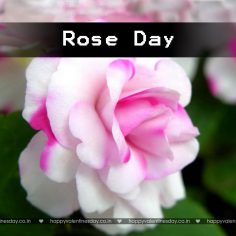 Rose Day – happy valentines day daughter