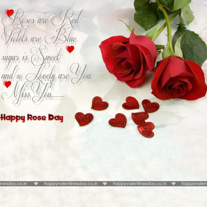 Rose Day