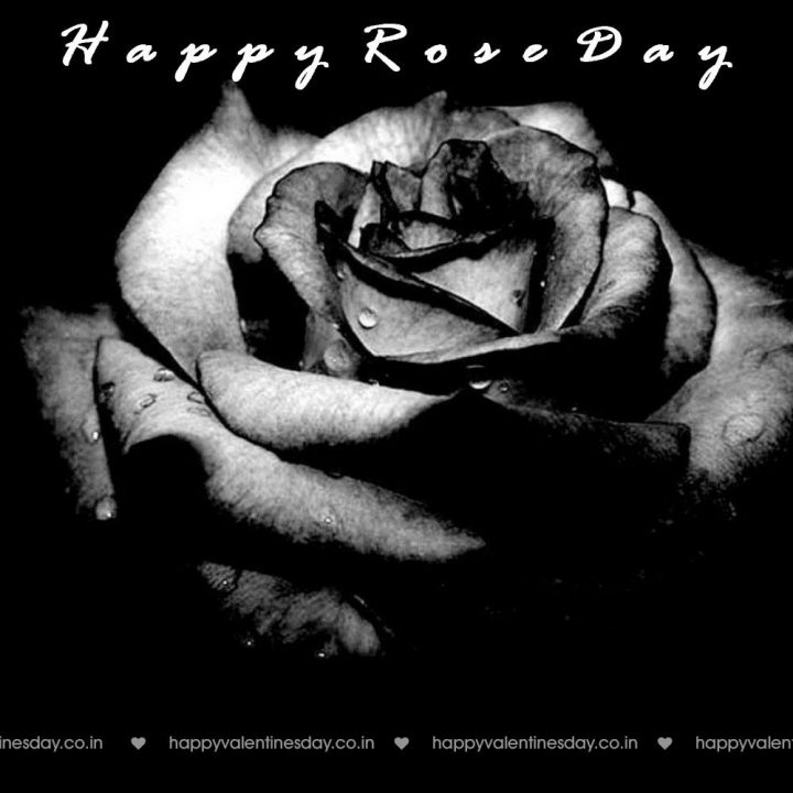 Rose Day