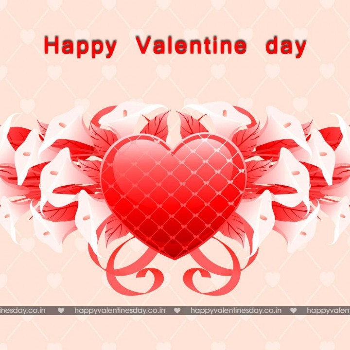 Happy valentines day in turkish