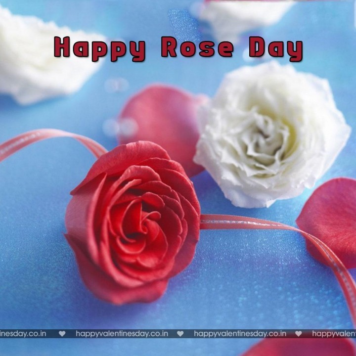 Rose Day – happy valentines day love poems