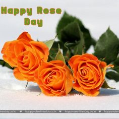 Rose Day – happy valentines day outkast