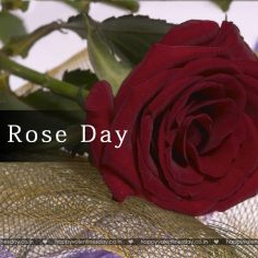 Rose Day – best free ecards