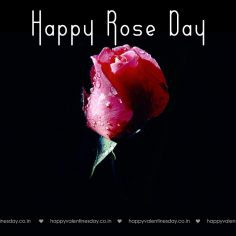 Rose Day – animated cards