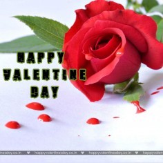 Valentine Day Messages Valentine 4