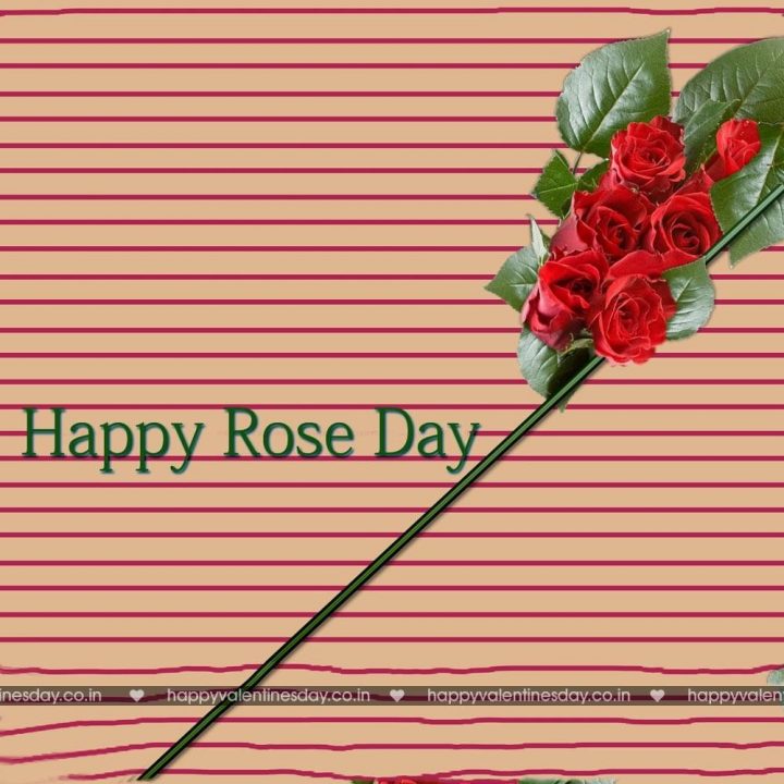 Rose Day