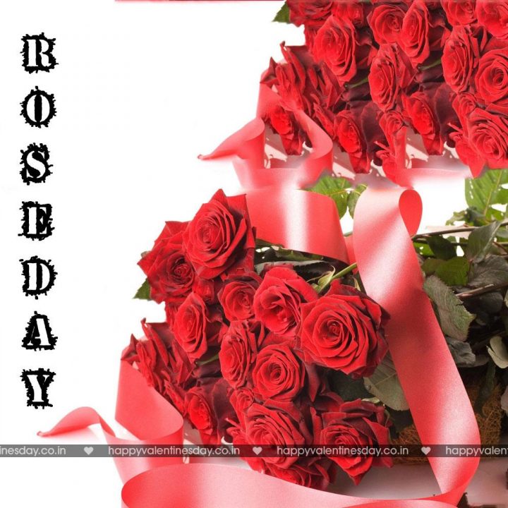 Rose Day