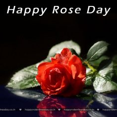 Rose Day – happy valentines day quotes