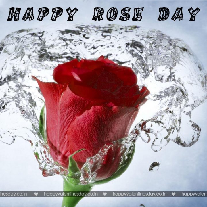 Rose Day – valentines day card