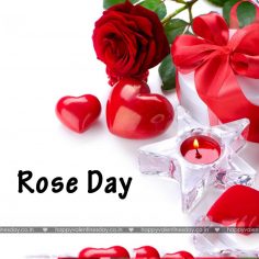 Rose Day