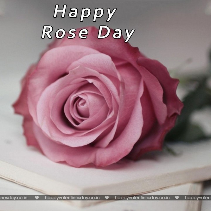 Rose Day – happy valentines day son