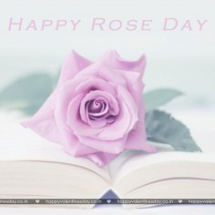 Rose Day