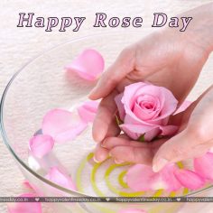 Rose Day – happy valentines day wishes for friends