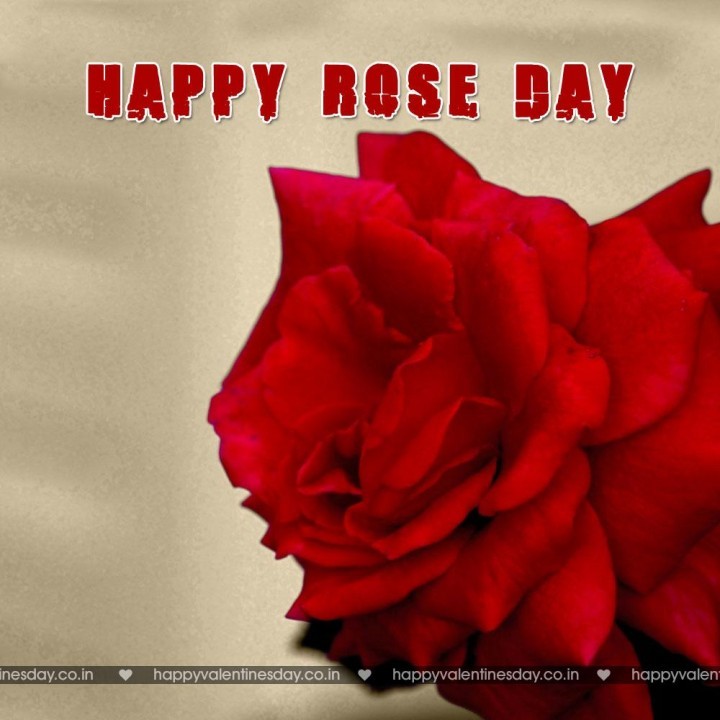 Rose Day – happy valentines day sms