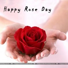 Rose Day – happy valentines day pictures images