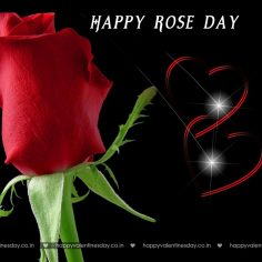 Rose Day – wedding anniversary cards