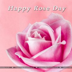 Rose Day – wedding anniversary cards