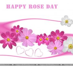 Rose Day