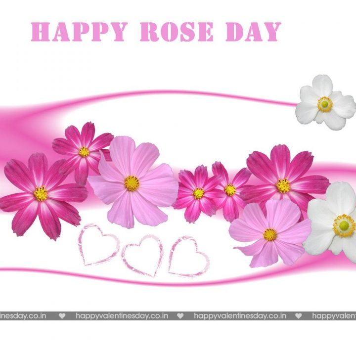 Rose Day