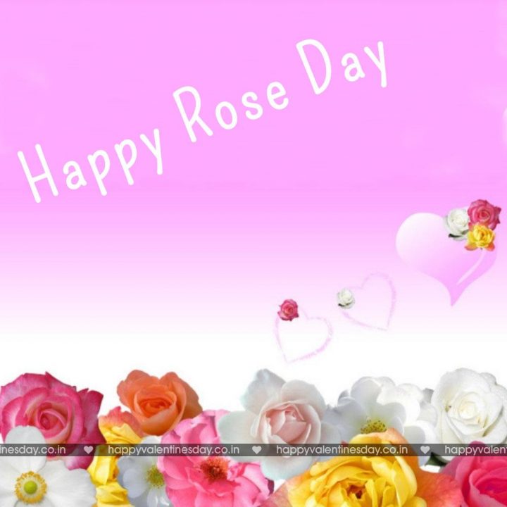 Rose Day