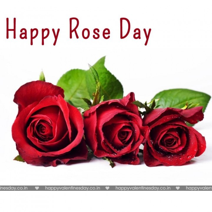 Rose Day