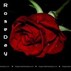 Rose Day – happy valentine day sms hindi