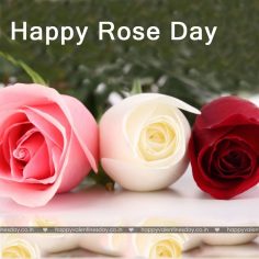 Rose Day