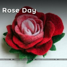 Rose Day