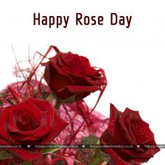 Rose Day