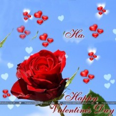 Happy valentine day pics