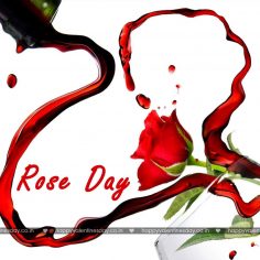 Rose Day