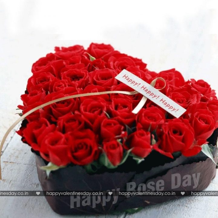Rose Day