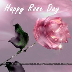 Rose Day