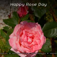 Rose Day – happy valentine day image