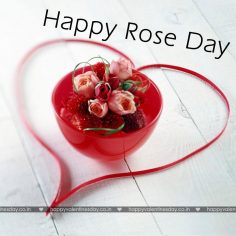 Rose Day