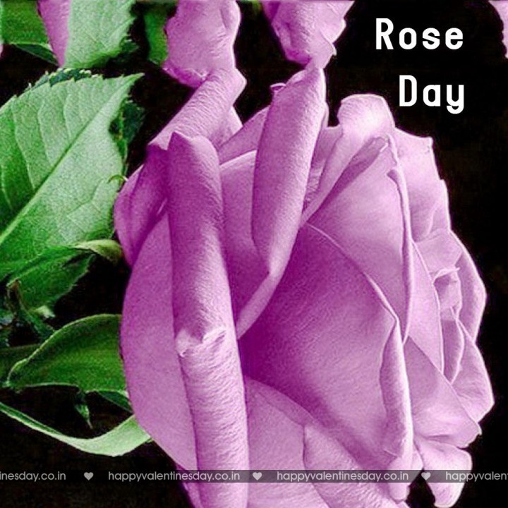 Rose Day – happy valentines day mouse