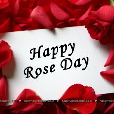 Rose Day